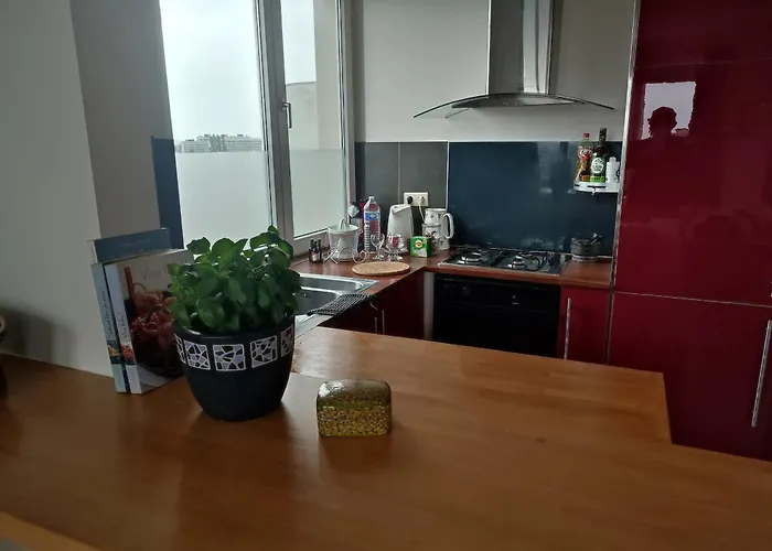 Charming In Etterbeek 70 M² With Balcony Βρυξέλλες