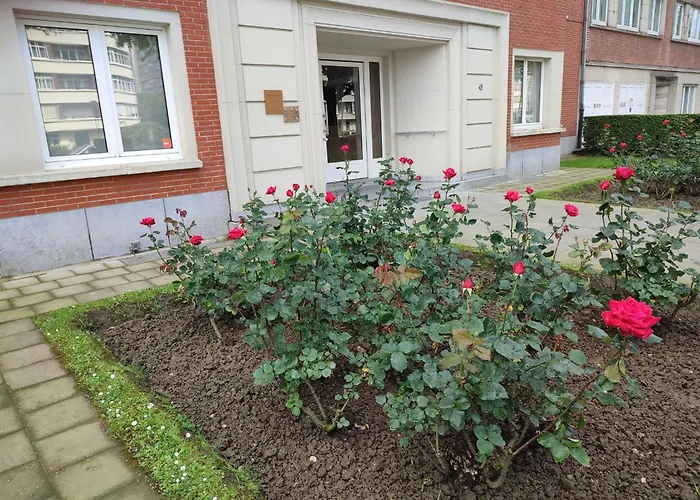 Charming In Etterbeek 70 M² With Balcony * Brussels