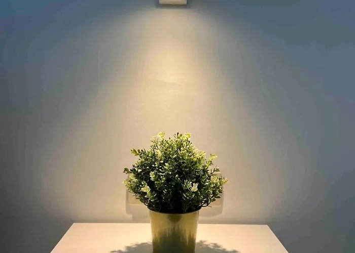 Sublime Calme Cosy & Jacuzzi * Brussels