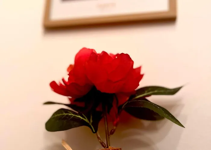 Apartment Charmant Studio - Quartier Chatelain Brussels