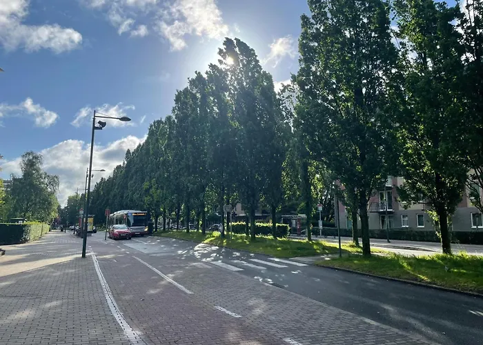 Apartment One Bedroom Fully Equipped With Terrace *