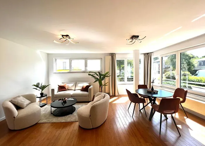 Wolu * Брюссель