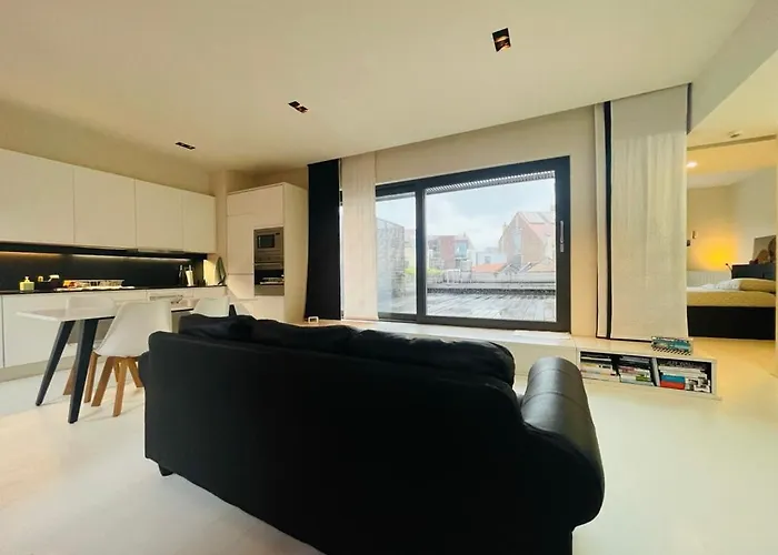 Lägenhet Down Town Penthouse With Private Parking Bryssel