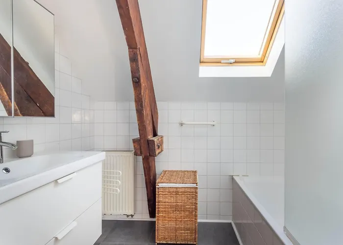 Daire Elegance Cinquantenaire Brüksel