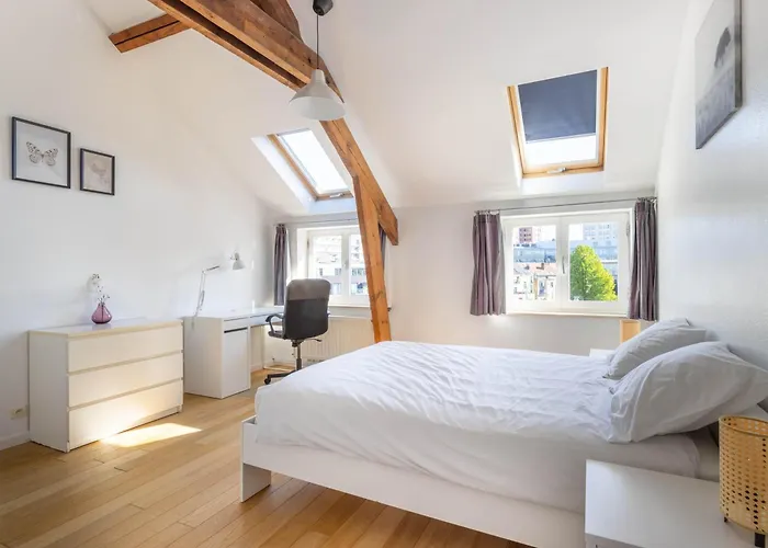 Elegance Cinquantenaire Appartement