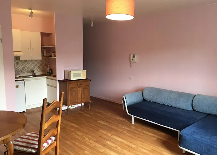 солнечная комфортная студия в андерлехт с лифтом