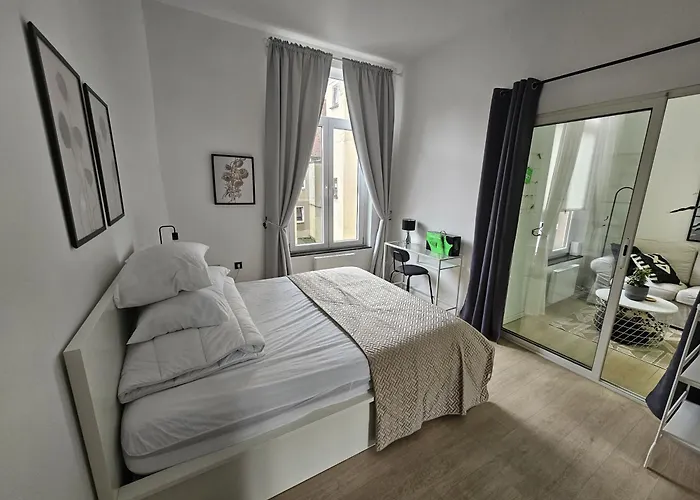 Daire Cosy Dansaert Brüksel