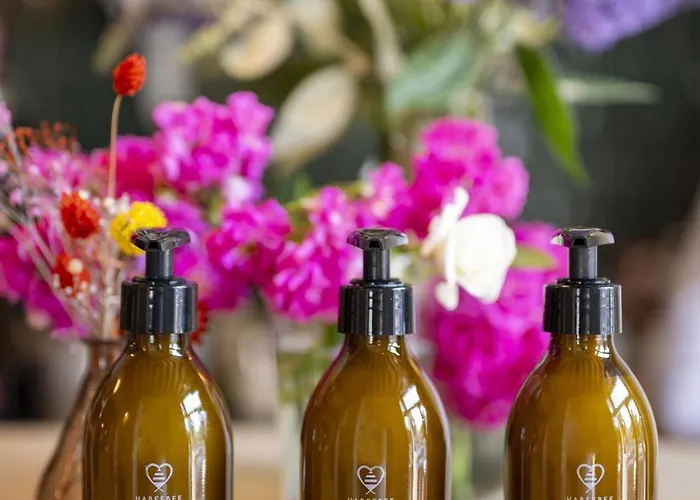 Made In Catherine Hotel 3*