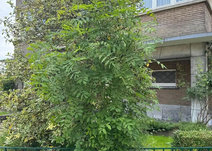 דירה Ixelles 2 Chambres, 3 Lits בריסל