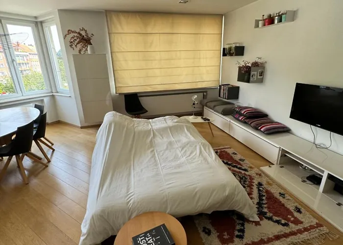 Ixelles 2 Chambres, 3 Lits בריסל