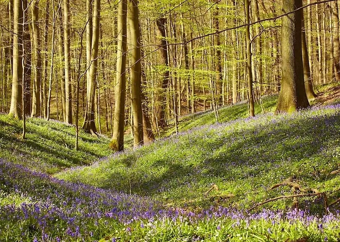 아파트 Charming House With Garden
