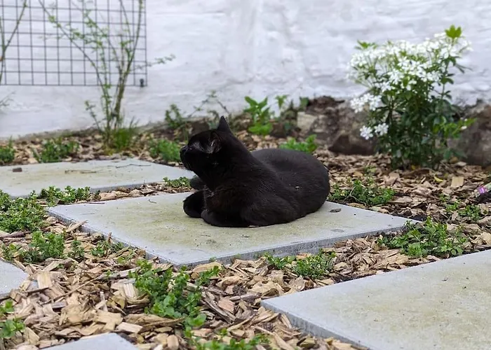 Charming House With Garden * 브뤼셀