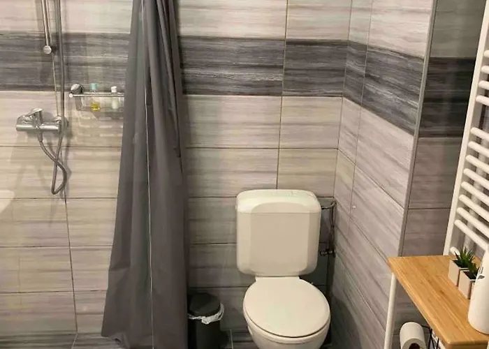 Avec Terrasse Privee Et Garage Rez De Chaussee Lumineux Apartmán Brusel