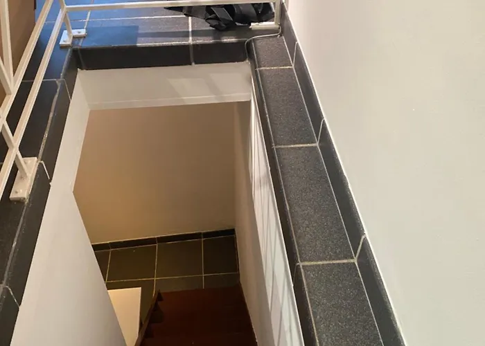 Fly Forest Rez Jardin Брюссель