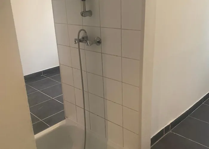 Fly Forest Rez Jardin Брюссель