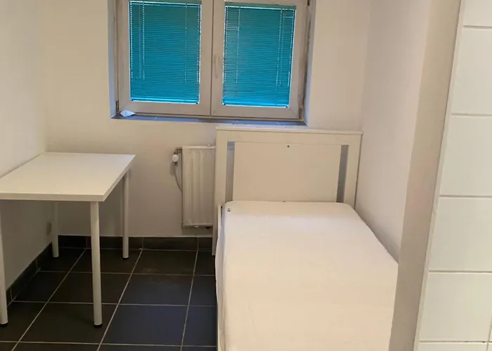 Fly Forest Rez Jardin Брюссель