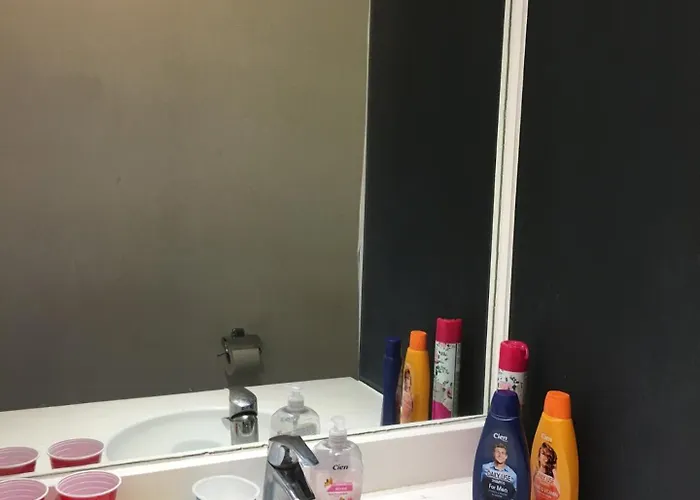 Appartement солнечная комфортная студия в андерлехт с лифтом *