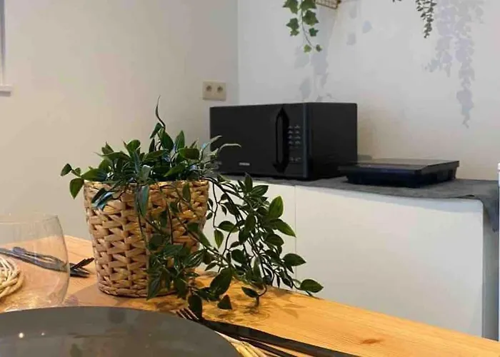 Superbe Full Equipe Avec Cour Exterieur *