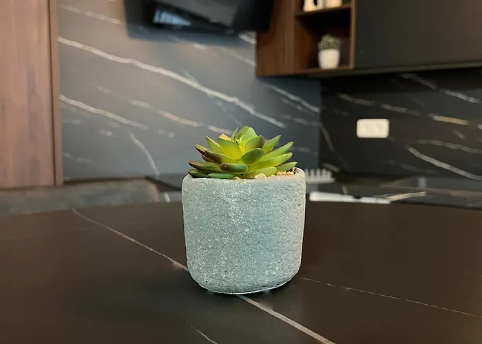 Efekt Confort Апартаменты Брюссель