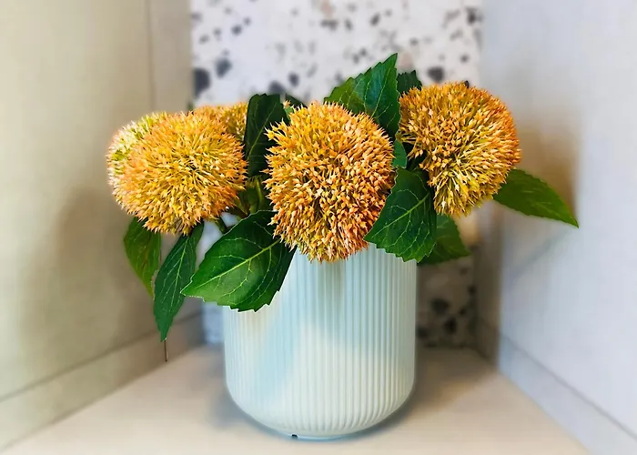 Efekt Confort Брюссель