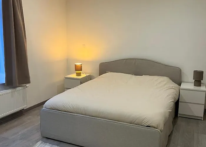 Apartment Confortable Avec Garage Premier Etage Sans Terrasse Brussels