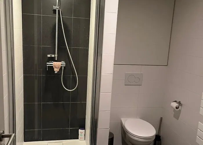 Center Flat * 布鲁塞尔