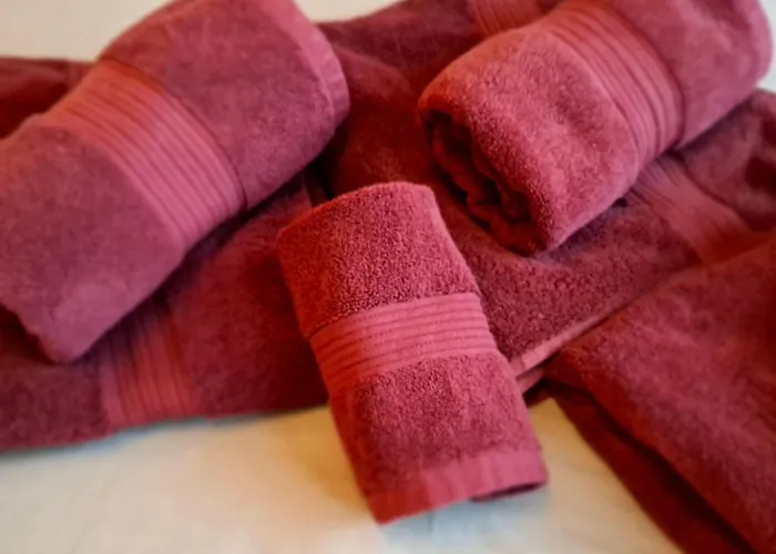 Denisa's Appartament Apartment Brussels