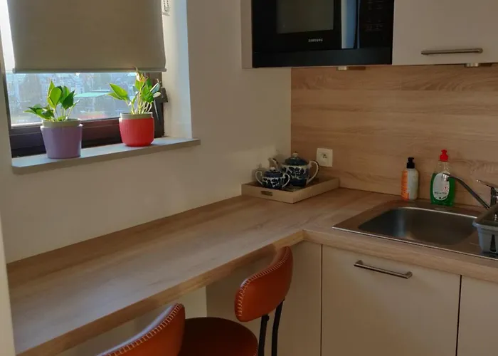 Daire Lisbethe Brüksel