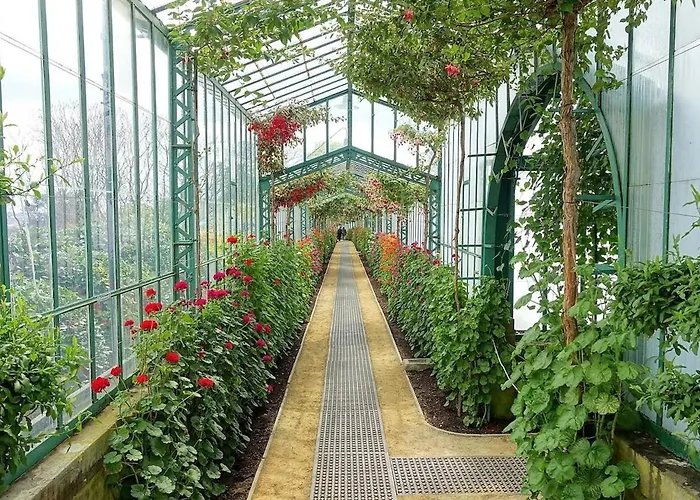 Cozy&luxurious In Brussels, Laeken Appartement