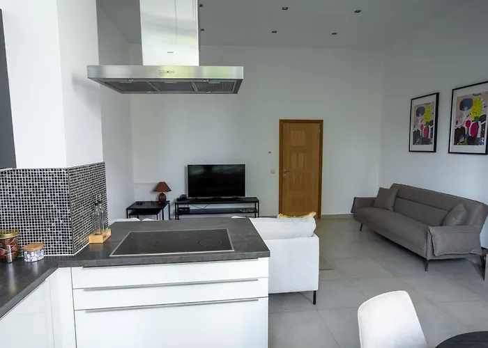 Cozy And Luxurious In Brussels, Laeken *