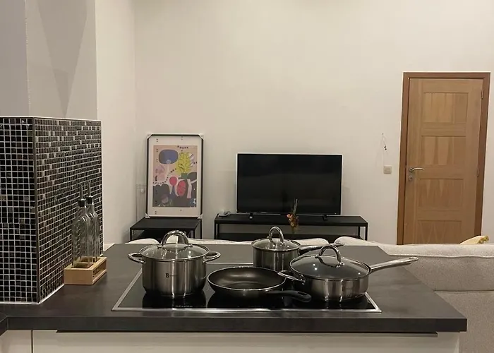 Apartamento Cozy And Luxurious In Brussels, Laeken