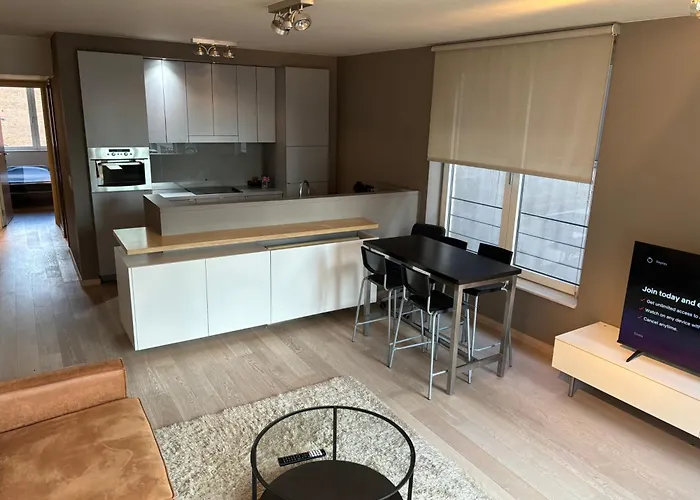 Comfortable Two Bedroom In Center Bruxelles