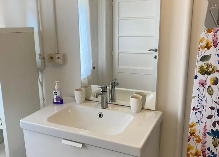 Chants D'oiseaux Brüssel