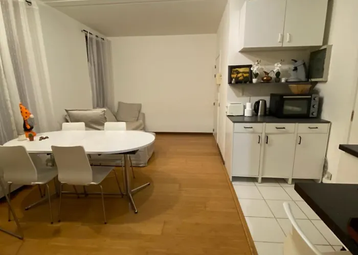 Cozy Apartment In Brussels City Center Matonge District Apartman Brüsszel