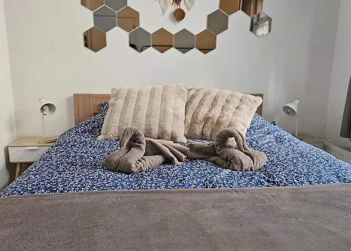 Proche Du Centre De Bruxelles, Atomium,tour&taxi,ing Arena Daire