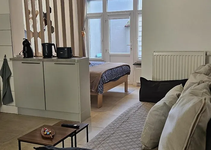 Proche Du Centre De Bruxelles, Atomium,tour&taxi,ing Arena Daire