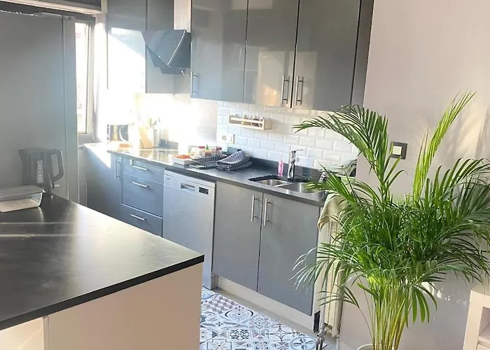 Strelitzyahouse Βρυξέλλες