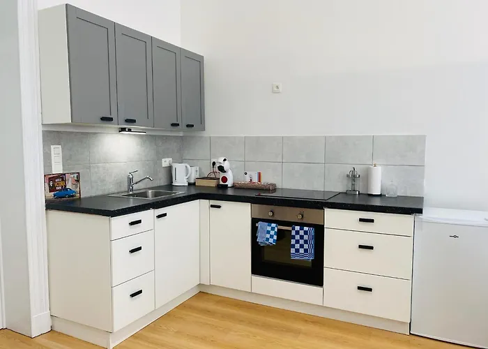 Calme Et Lumineux A Uccle 布鲁塞尔