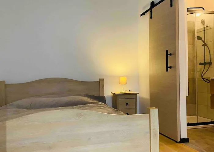 Calme Et Lumineux A Uccle *