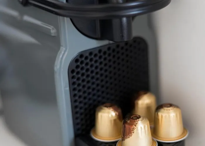 Downtown Splendor V * בריסל