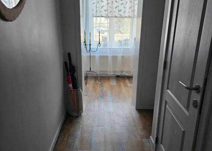 Balsamine * Брюссель