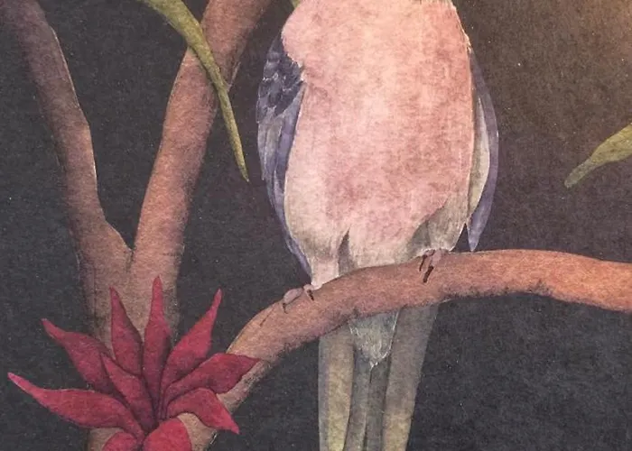 Cosy Jacqmain Brüsszel