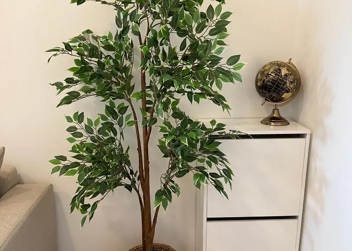 Cozy South-up And Ground Apartamento