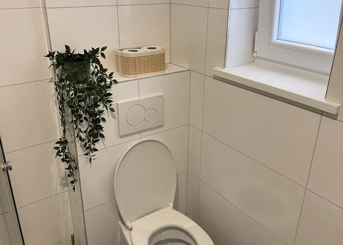 Cozy South-up And Ground *