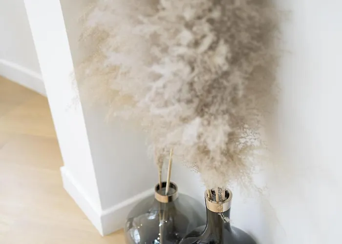 Triplex Penthouse In The Center *