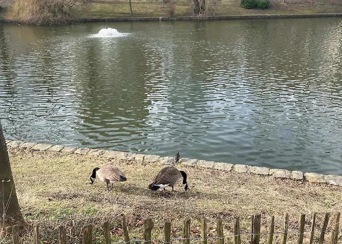 Apartamento Le Flagey Place Bruselas