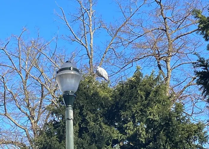 Le Flagey Place Bruselas