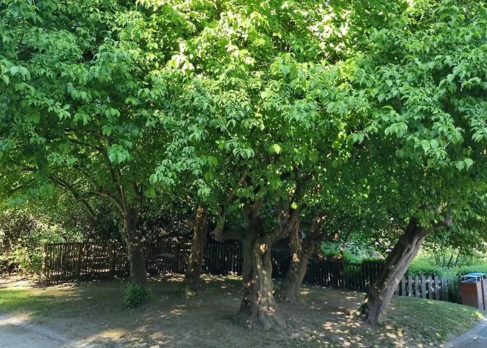 Chinese Pavilion Park - Magnificent 布鲁塞尔