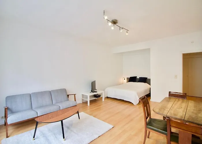 Appartement Very & Large Studio-plasky Brussel