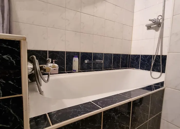 Chinese Pavilion Park - Magnificent 公寓 布鲁塞尔